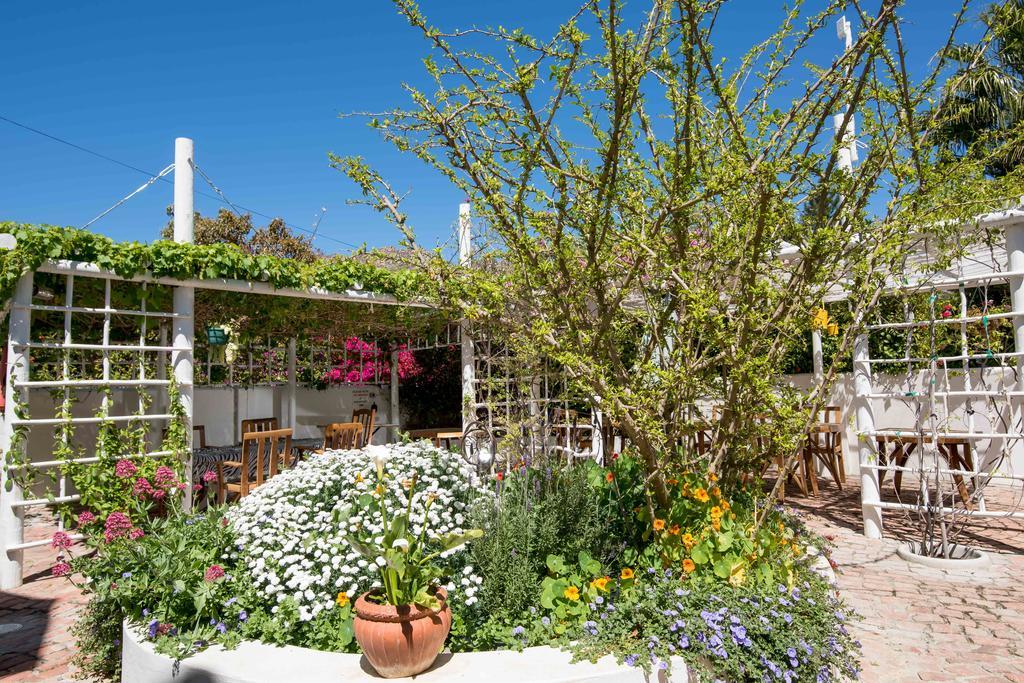 7 Church Street Guest House Montagu Exteriör bild